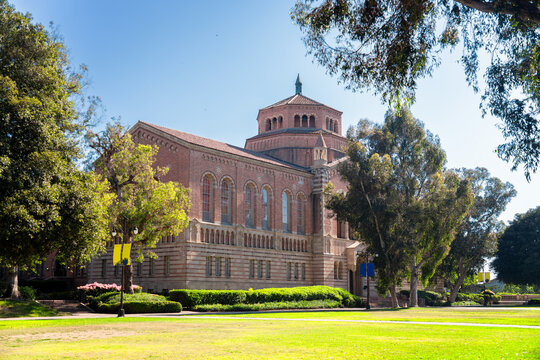 University of California, Los Angeles