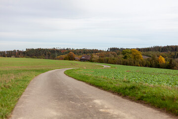 Autumn landscape with a country road in the middle of the field