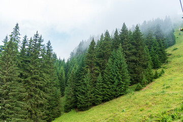 Passer les vacances d'été en montagne de Chatel - France