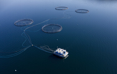 Fish farm salmon round nets in natural environment Loch Fyne Arygll and Bute Scotland