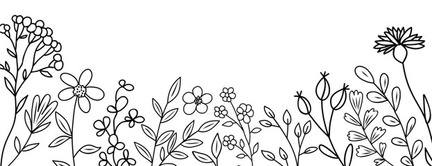 Wild blooming meadow flowers and herbs border. Horizontal banner, floral overlay backdrop. Botanical monochrome ink sketch style hand drawn vector illustration isolated on transparent background. - obrazy, fototapety, plakaty