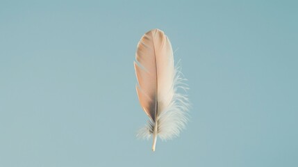 Macro Photography of Soft Light Blue Background with Feather.