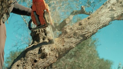 Chainsaw cutting wood. Man carving wood with a elettric saw. Close up - Powered by Adobe