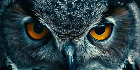 Zelfklevend Fotobehang The piercing eyes of an owl in a close-up, watching the night, representing wisdom , concept of Majestic gaze © koldunova