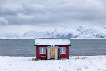 Red house at the sea with snow capped mountains on Lofoten Islands Norway