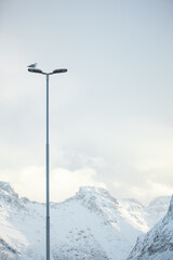 Lamppost with a seagull and snowcapped mountains in the background