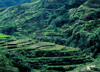 Unesco World Heritage: The Rice terraces of Banaue on the Island Luzon in the Region of Ifugao.