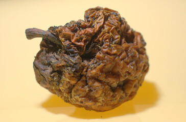 ein roter vertrockneter Apfel