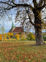Dom in Erfurt / Thüringen im Herbst