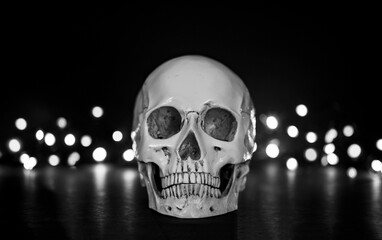 skull on black with bokeh light background