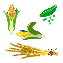two ears of corn, green peas and tied ears of wheat