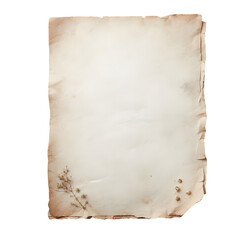 Old medieval white paper sheet parchment scroll isolated on transparent background
