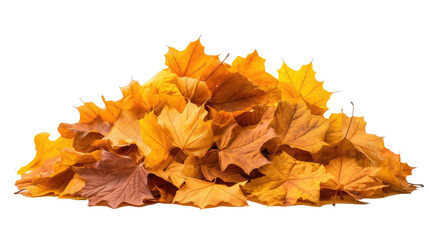 Pile of autumn leaves isolated on transparent a white background