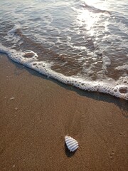 beach and sea