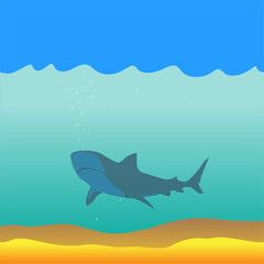Ocean underwater world with shark, vector illustration