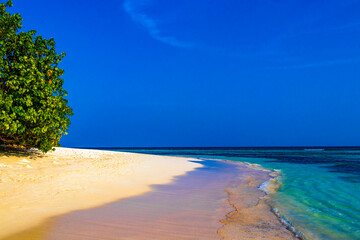 Natural tropical plants turquoise sandbank islands Madivaru Finolhu Rasdhoo Maldives.