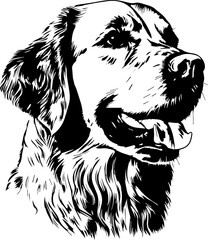Fototapeta premium golden retriever vector design, isolated background, hand drawn illustration style