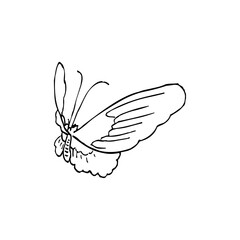 Black and white butterfly glyph