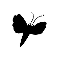 Transparent Butterfly icon