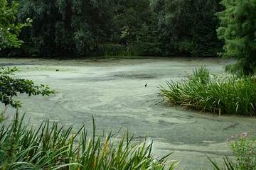 Rotterdam - Netherlands