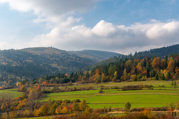 górski jesienny krajobraz pełen żółtych malowniczych drzew