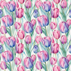 Fototapeta na wymiar pink and yellow tulips