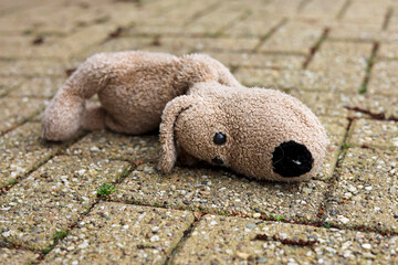 A lost stuffed animal. The plushie lies lonely on the street.