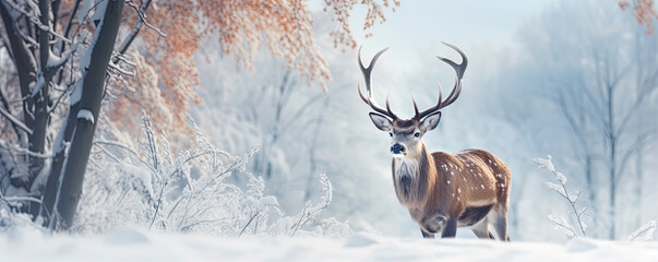 A front view of the deer in snowy forest. generative ai