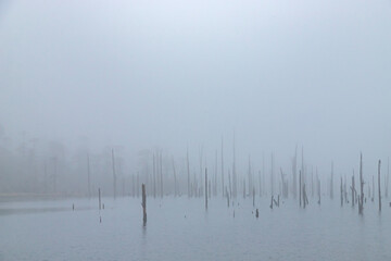 Cloudy landscape view and dead tree stumps standing on frozen madhuri lake or sangetsar lake sangestar tso lake.located near bum la pass in tawang, arunachal pradesh, india - obrazy, fototapety, plakaty
