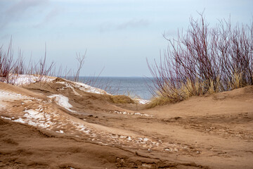 Baltic sea dunes with sea urchins on the sea background