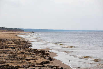 
nature view with sea sand and blue sky