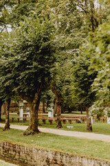 Décor de cérémonie laïque dans la forêt verdoyante