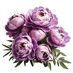 Fototapeta premium bouquet of purple color Peony flower isolated vector artwork 