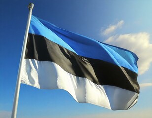 Estonian flag
