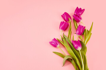 Bouquet of pink tulips on pink background. Mothers day, Valentines Day, Birthday celebration concept.