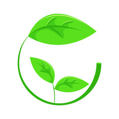 Preservation of plants, sprout covered with green leaf.