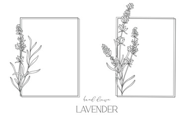 Lavender Line Drawing. Black and white Floral Frames. Floral Line Art. Fine Line Lavender illustration. Hand Drawn Outline flowers. Botanical Coloring Page. Wedding invitation flowers