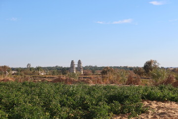 Fototapeta na wymiar Pigeon towers in the middle of agricultural land in Baharyia oasis in Egypt