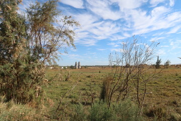 Pigeon towers in the middle of agricultural land in Baharyia oasis in Egypt