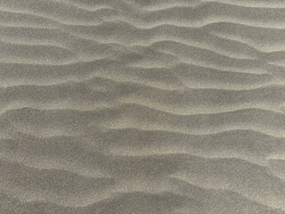 Fototapeta na wymiar Volcanic sand dunes isolated close-up in El Medano, Tenerife, Canary Islands, Spain 