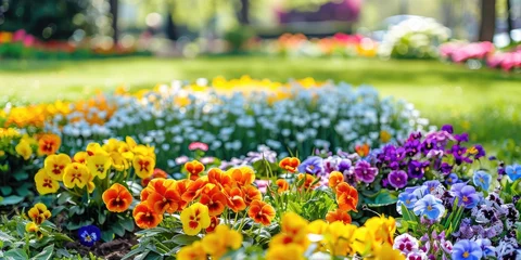 Rolgordijnen Colorful spring flower garden blooming. Springtime idea © Lubos Chlubny