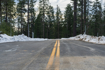 Paved, dry road leading into forest during winter.  Snow on sides of road. - Powered by Adobe