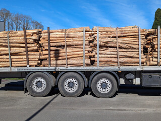 A truck loaded with eucalyptus wood destined for a paper manufacturing plant, Asturias, Spain