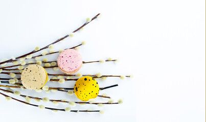 Colorful macaroons with  pussy willow isolated on white. French cookies with fresh branch of  pussy willow. Concept of seasonal Easter background. Copy space for text, flat lay.