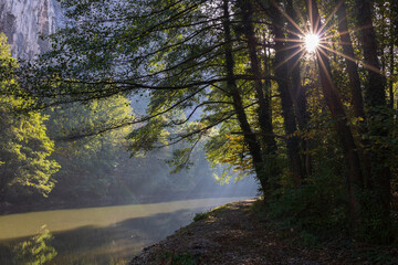 morning in the woods. Rays of the sun through the branches. River and sun