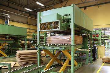 Woodworking factory. plywood production process in the workshop