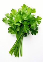 Fresh parsley on a white background. Generative AI.