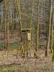 Hoch und Jägersitz im Wald