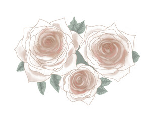 rose flower  bouquet wedding illustration watercolor, png file ,Isolated on transparent background
