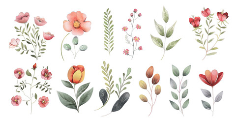  Flowers watercolor set, isolated on transparent background.